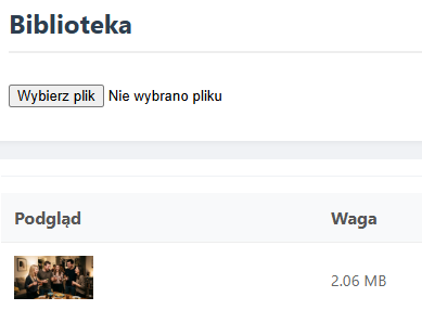Biblioteka mediów
